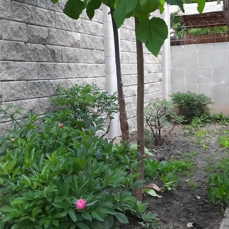 Гостевой дом Одесса Номер фото